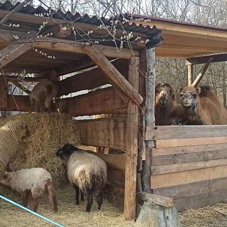 Apartman U Kocky بلانسكو المظهر الخارجي الصورة