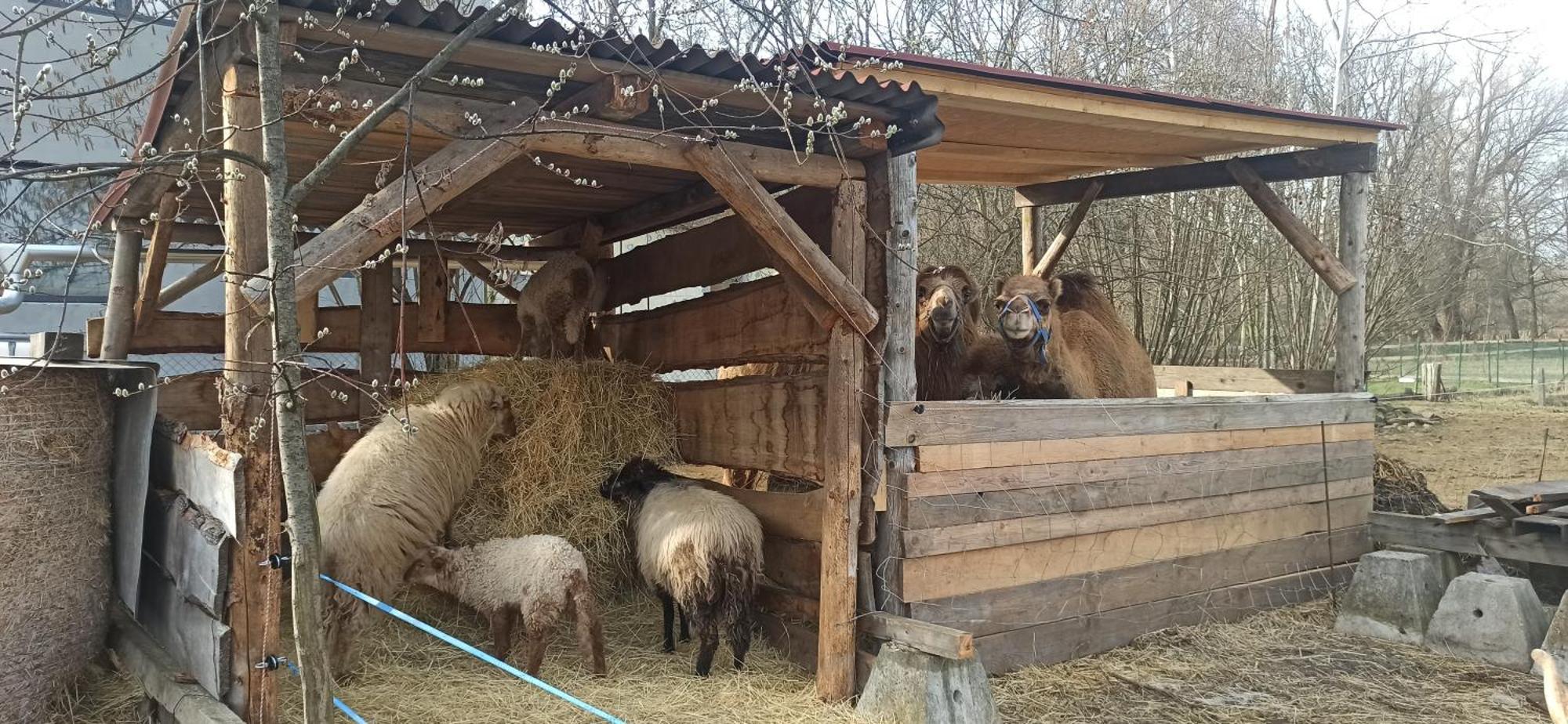 Apartman U Kocky بلانسكو المظهر الخارجي الصورة